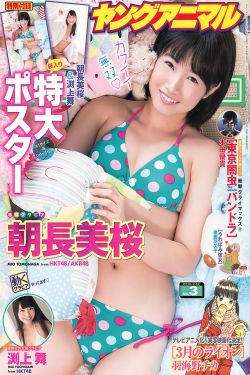 潘金莲高清DVD碟片